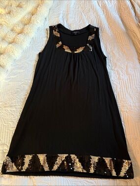 Express Black Sleeveless Dress with black & Silver Sequin Trim